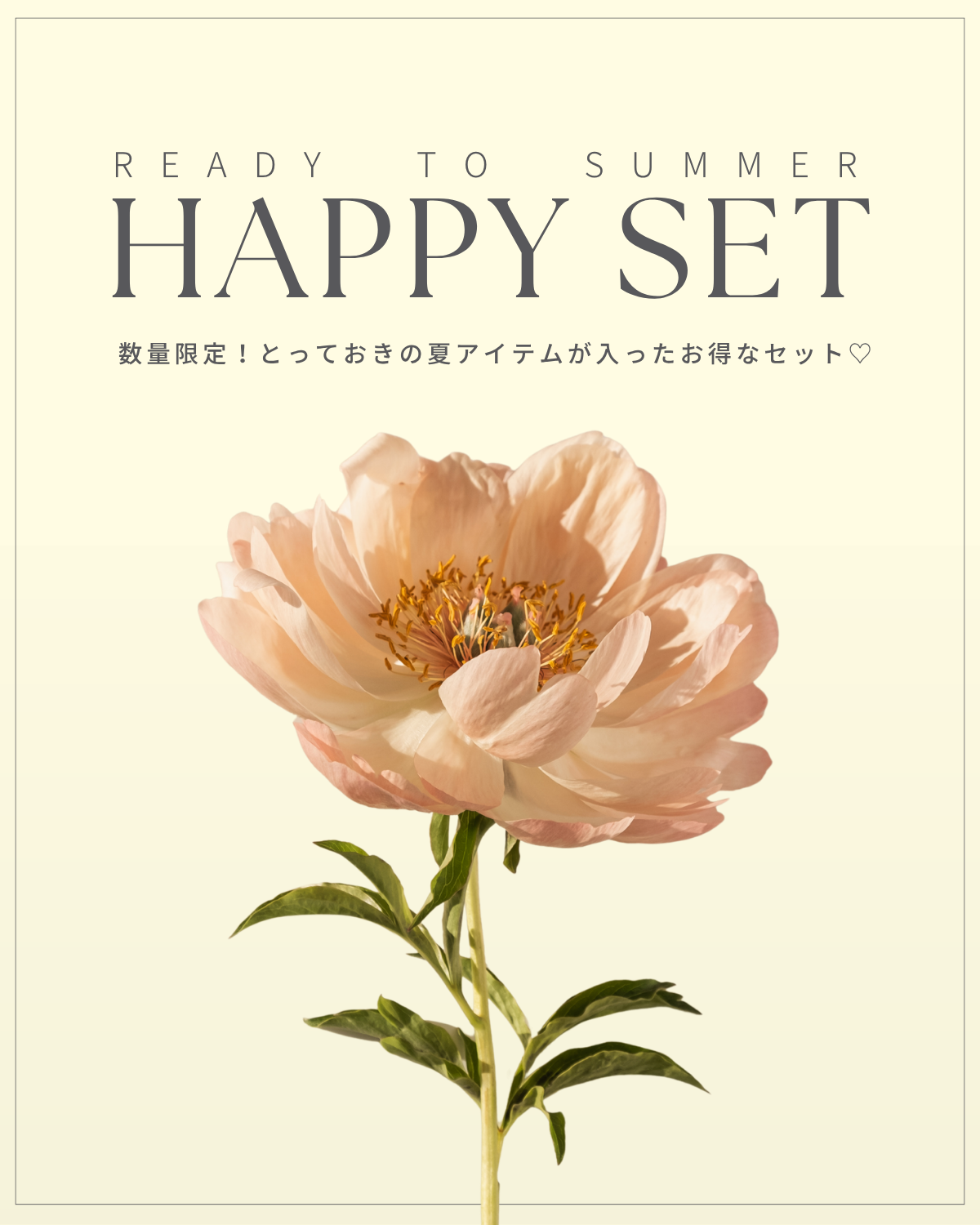 数量限定]Ready to Summer Happy Set🌈 – Frene