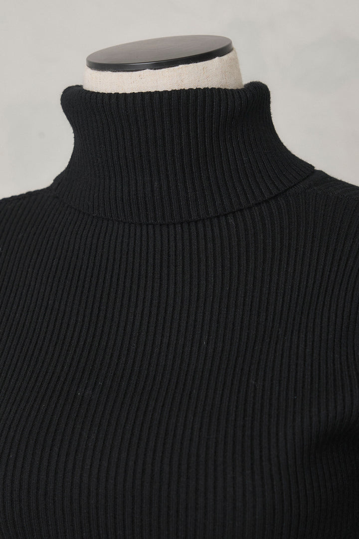 [予約]ベーシックリブタートルニット